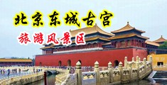 肏骚逼爽歪歪AV中国北京-东城古宫旅游风景区